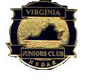 VA Juniors Club Pin