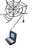 Spinning web and computer graphic